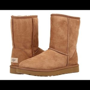 Ugg Classic Short II